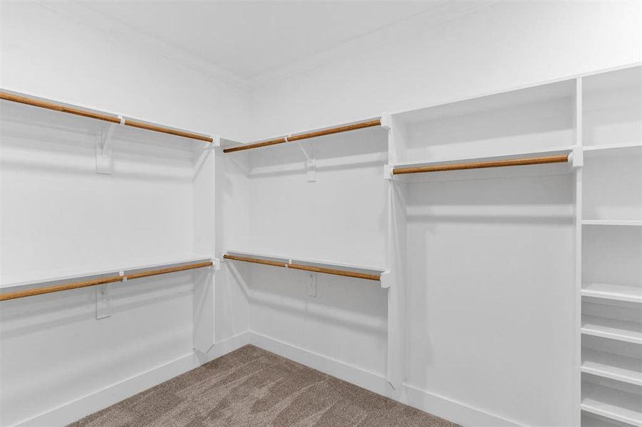 Spacious closet with carpet flooring