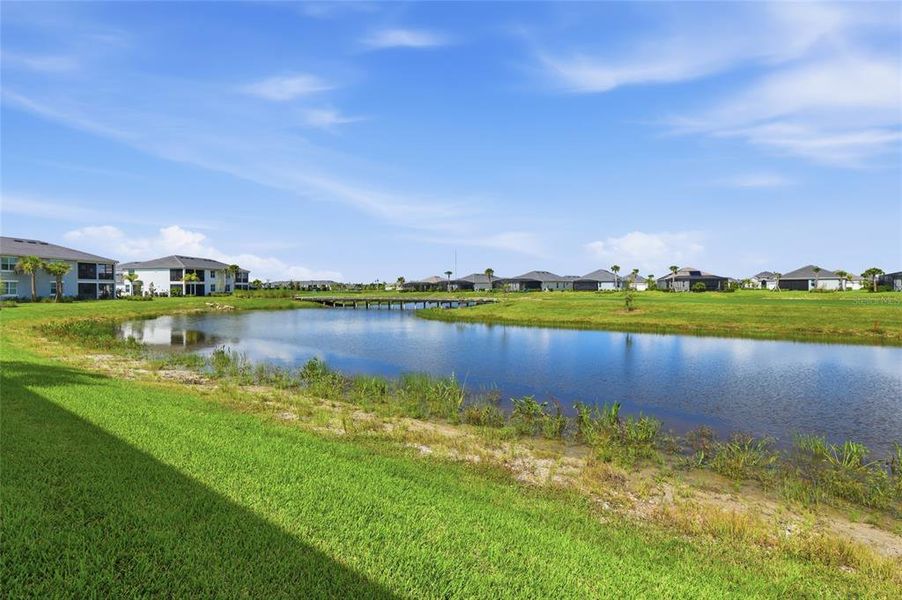 Natural landscape and outdoor views near  in Punta Gorda (Image 59).