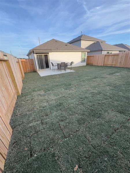 Sodded backyard