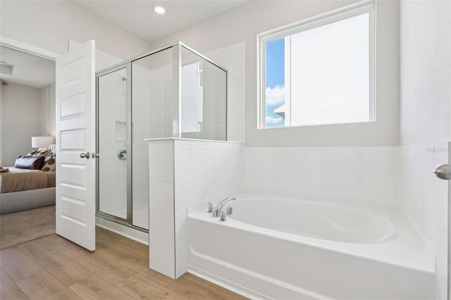 Furnished interior view inside a new home in Hawthorne Ranch, Lakeland (Image 30).