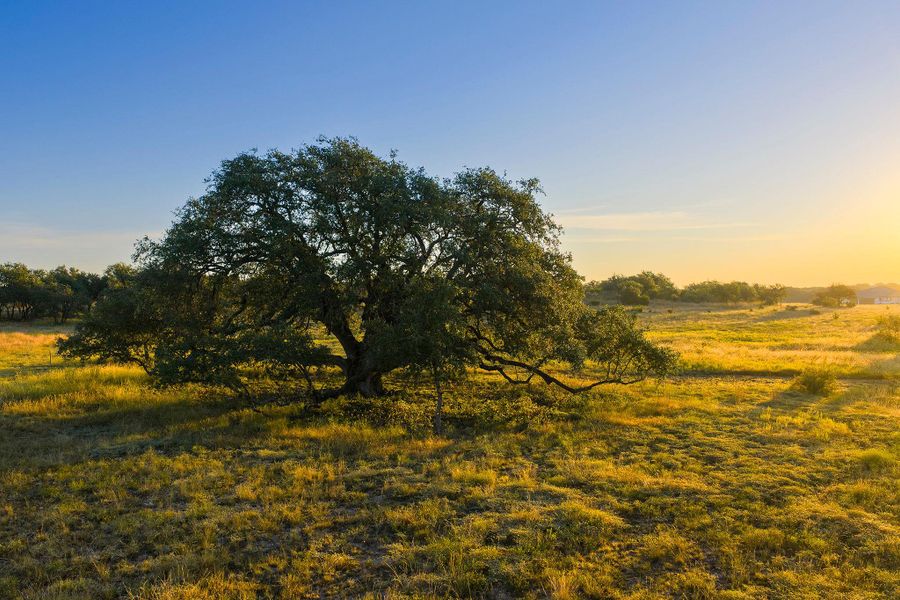 View of nature featuring rural landscape View of nature featuring rural landscape