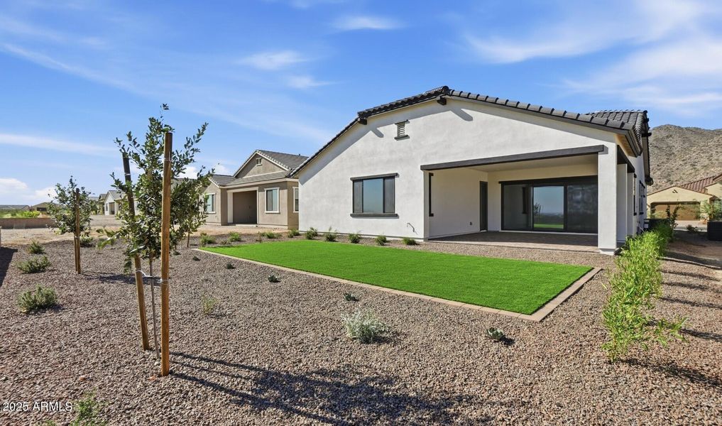 FSVV Lot #2 Backyard (2) (Large)