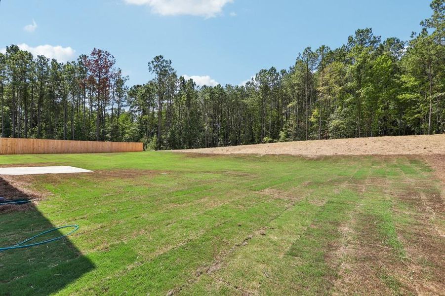 Natural landscape and outdoor views near Savoy Park in Covington (Image 35).