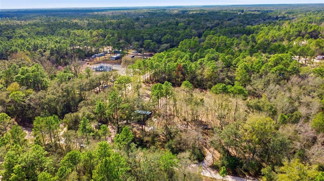 Natural landscape and outdoor views near  in Dunnellon (Image 27).