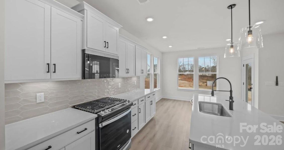 REPRESENTATIVE PHOTO