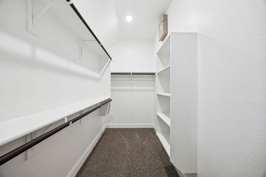 20-3713Blooming_018 20-3713Blooming_018