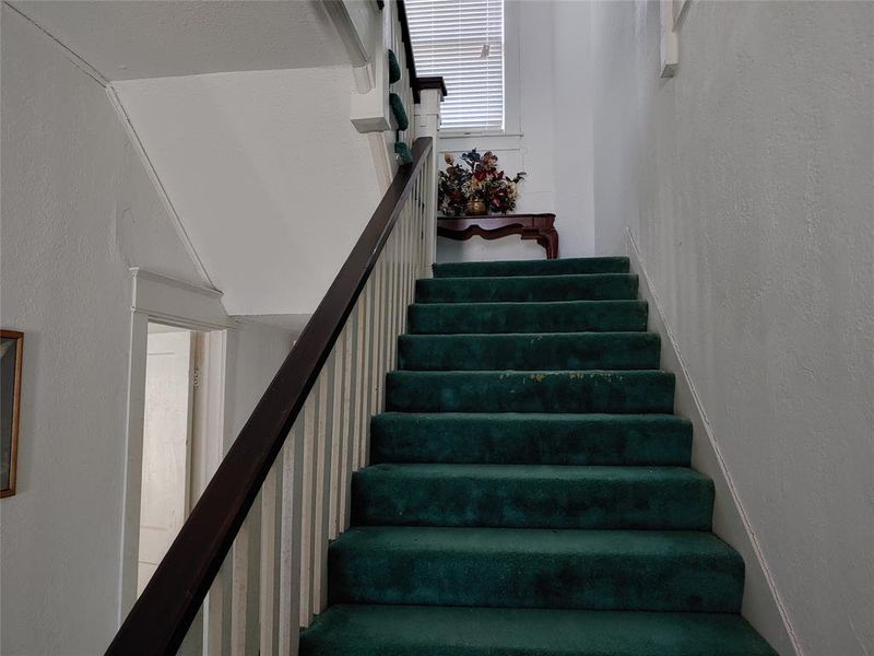 Staircase featuring green carpet treads, white painted risers, a dark wood-finish handrail, and white balusters Staircase featuring green carpet treads, white painted risers, a dark wood-finish handrail, and white balusters