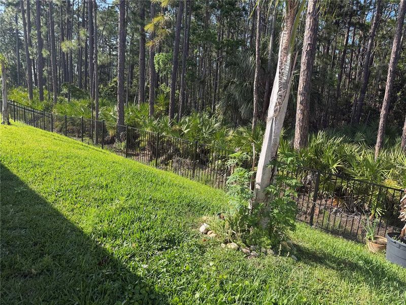Natural landscape and outdoor views near Fountain View in Ormond Beach (Image 7). Natural landscape and outdoor views near Fountain View in Ormond Beach (Image 7).