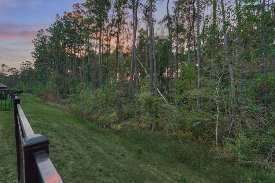 Natural landscape and outdoor views near Woodforest 50′ in Montgomery (Image 39).