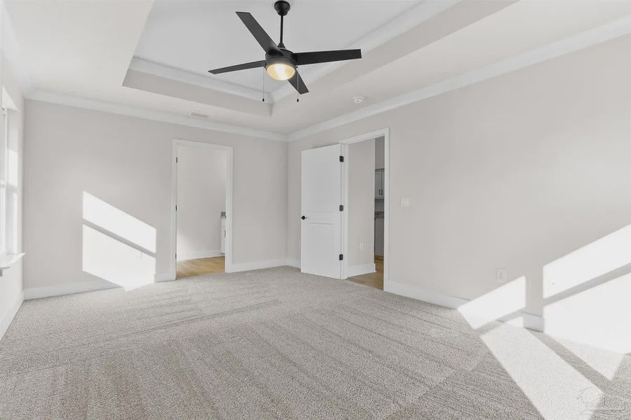 Spacious, unfurnished interior of a new home in Blossom Grove, Milton (Image 9).