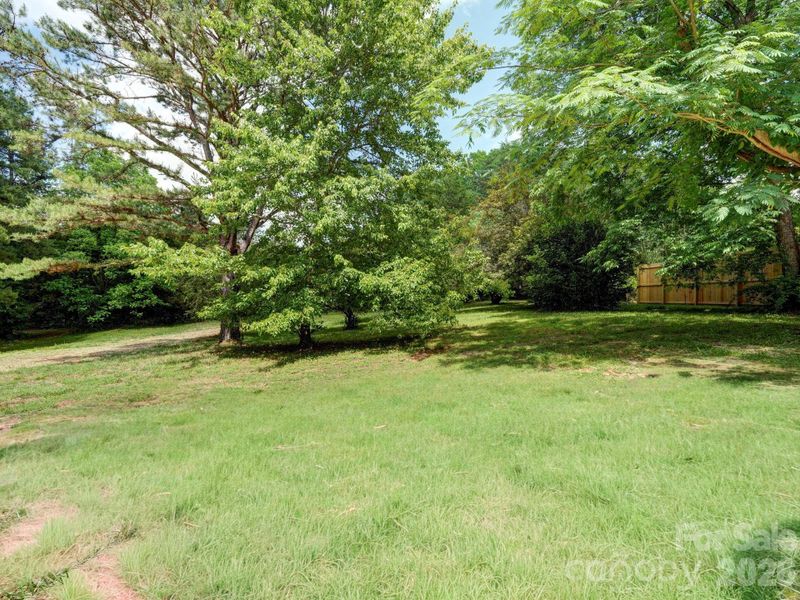 Natural landscape and outdoor views near  in Mooresville (Image 40).
