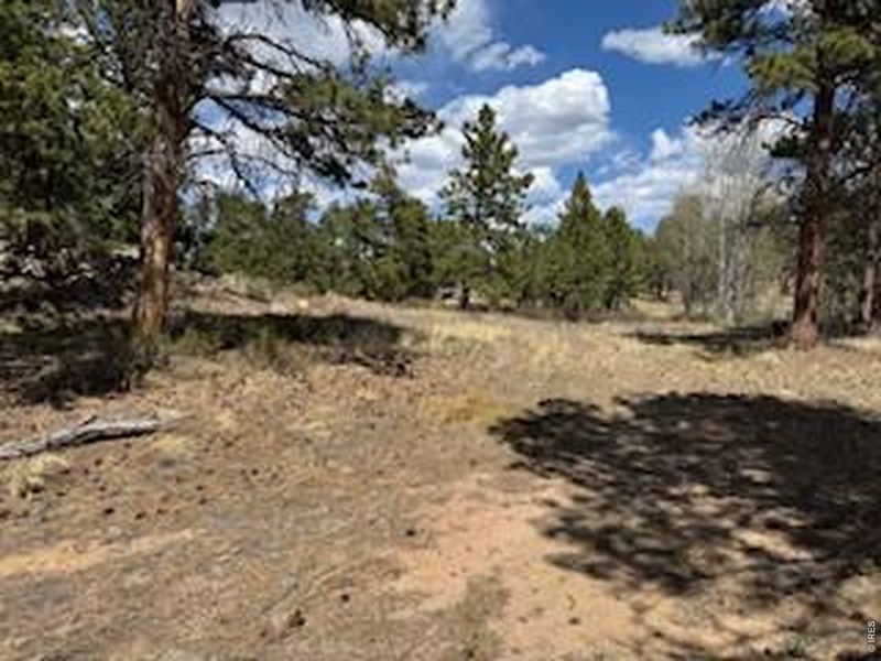 Natural landscape and outdoor views near  in Red Feather Lakes (Image 41).