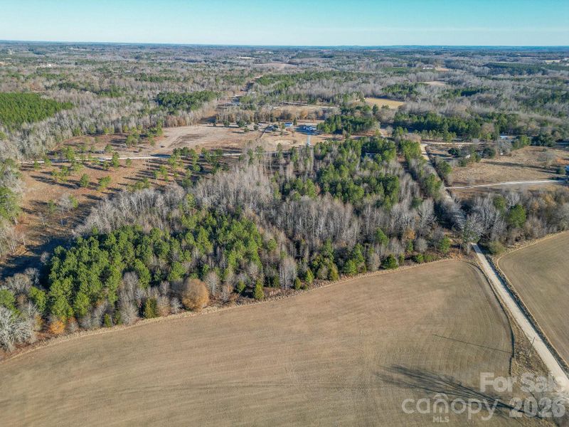 Natural landscape and outdoor views near  in Pageland (Image 38).