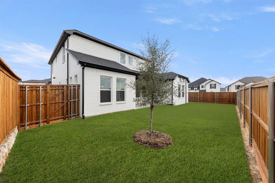 28. 6801 Marerro - Back (2)