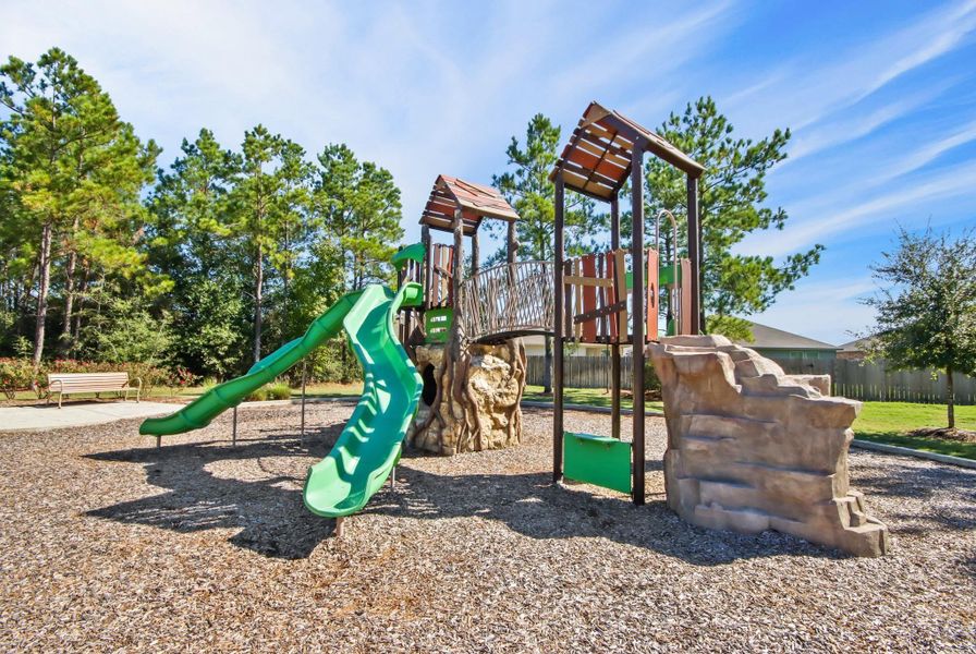 Community amenities in Porters Mill, New Caney (Image 17).