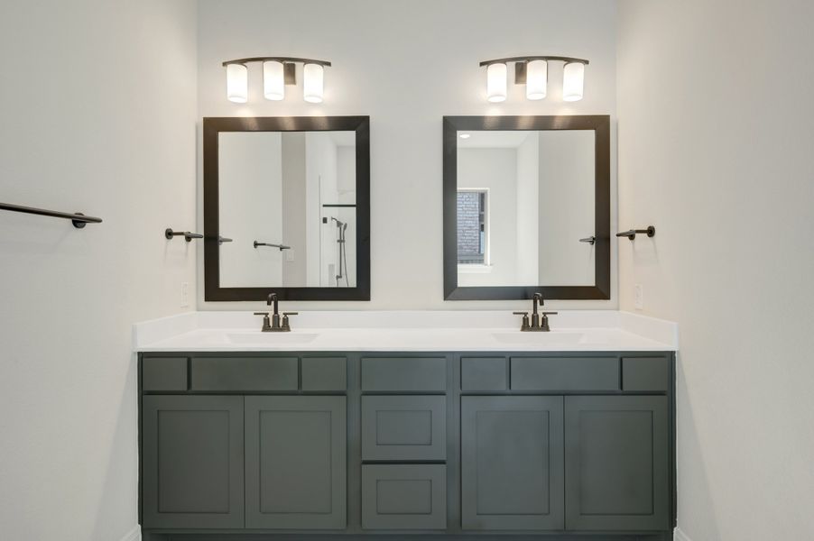 Owner's Bath
