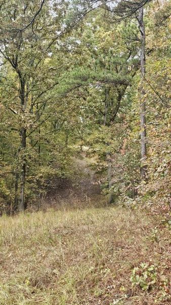 Natural landscape and outdoor views near in Dallas (Image 8). Natural landscape and outdoor views near in Dallas (Image 8).