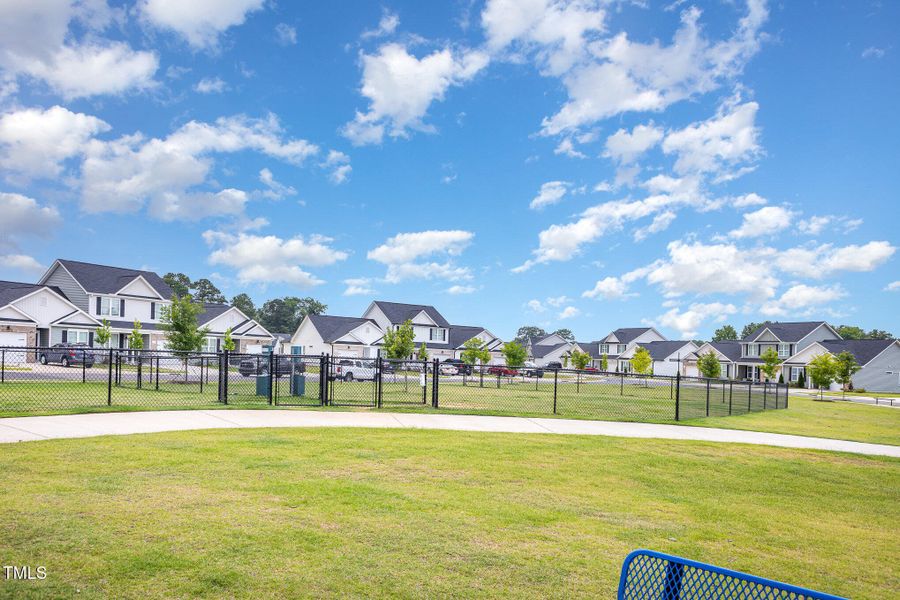 028_img_0206-edit_769 028_img_0206-edit_769