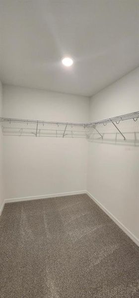 Spacious, unfurnished interior of a new home in , Davenport (Image 18).