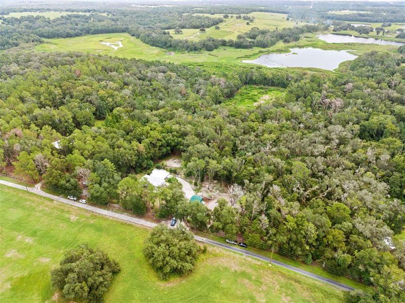 Natural landscape and outdoor views near  in Brooksville (Image 57).