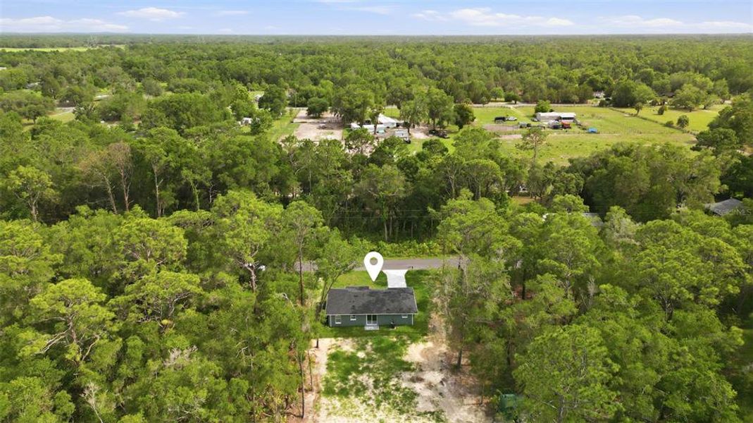 Natural landscape and outdoor views near  in Crystal River (Image 29).