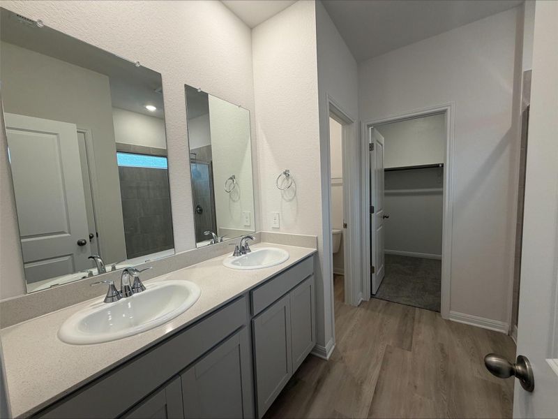 Full bathroom with a shower stall, a walk in closet, double vanity, and light wood-style flooring