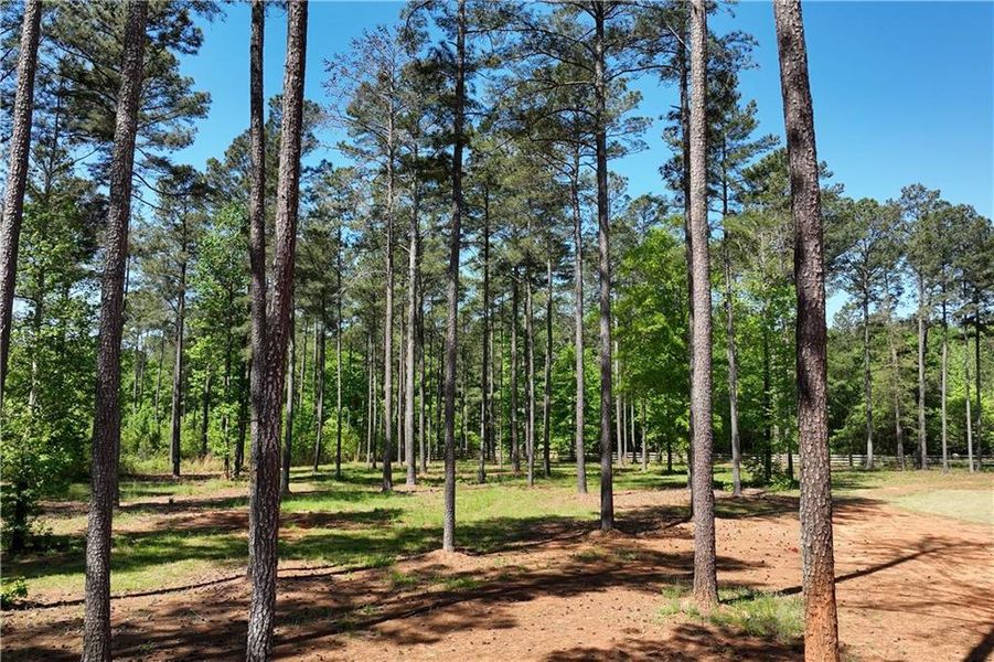 Natural landscape and outdoor views near  in Good Hope (Image 54).