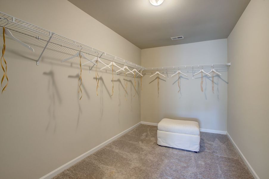 Expansive primary closet with shelving