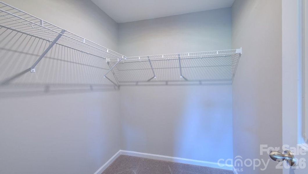 Photos are representative