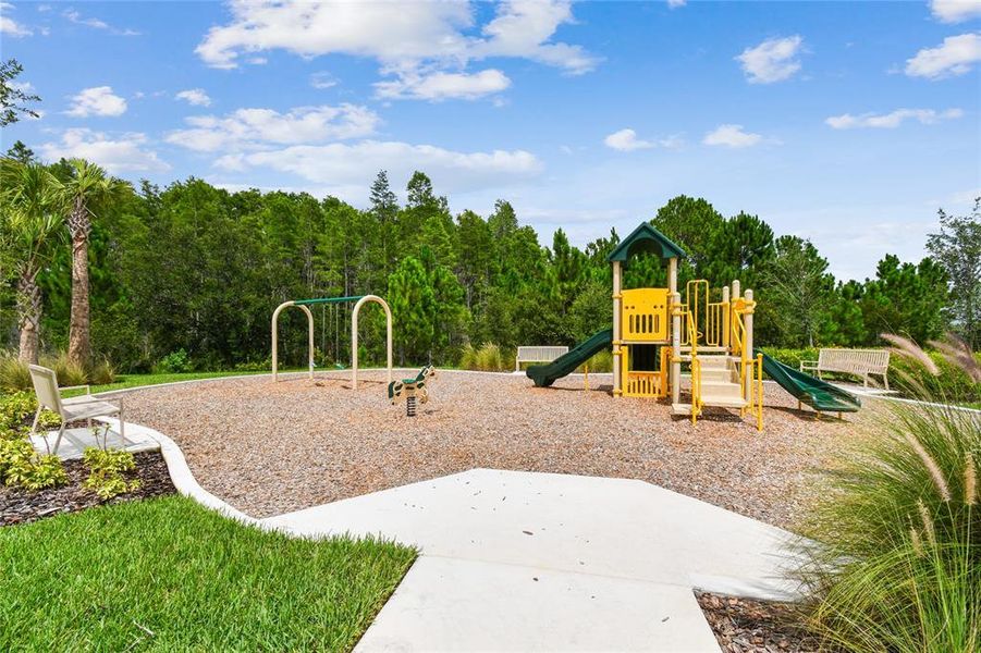 Community amenities in Woodcreek, Wesley Chapel (Image 45). Community amenities in Woodcreek, Wesley Chapel (Image 45).
