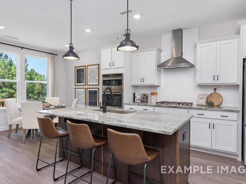 Representative furnished interior of a home built from the The Willow B by Davidson Homes LLC in Retreat at North Main, Lillington (Image 6).