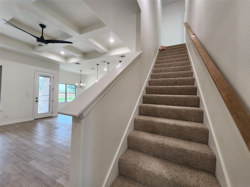 Carpeted staircase with a wood handrail