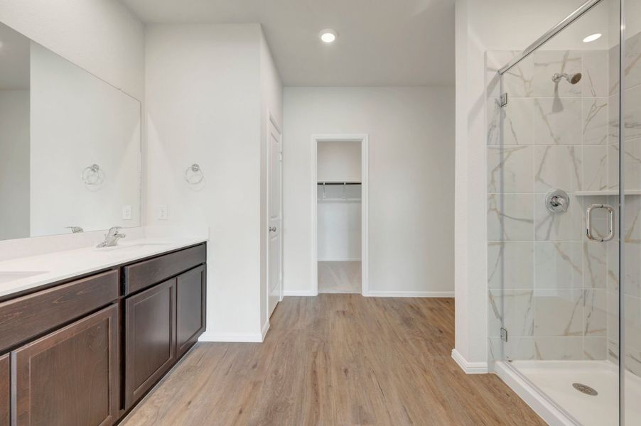 Owner's Bathroom