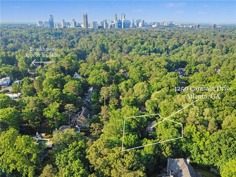 Natural landscape and outdoor views near  in Atlanta (Image 33).