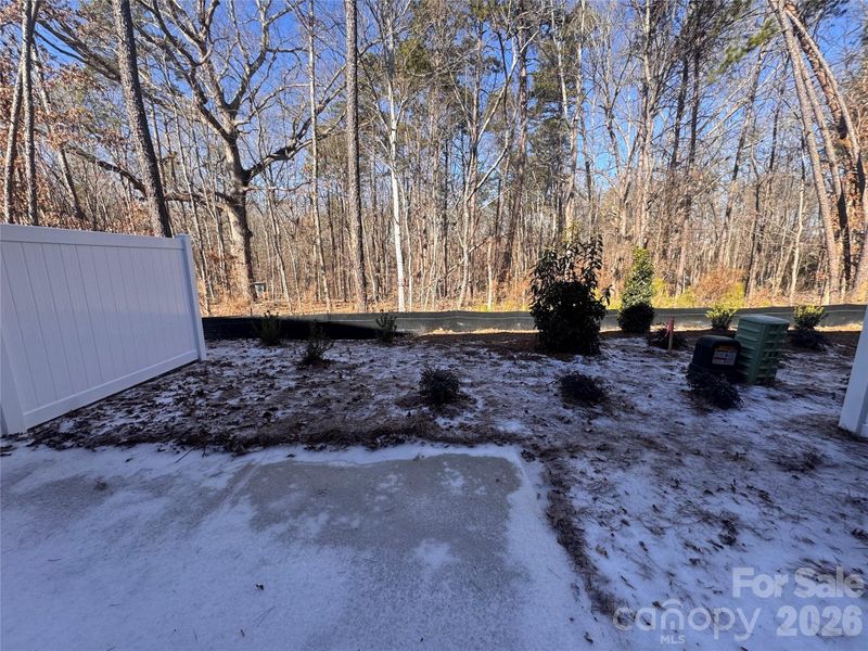 Backyard and wooded view