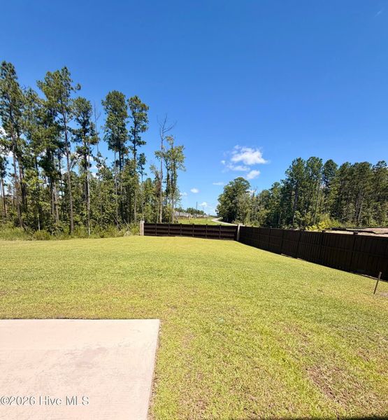 Natural landscape and outdoor views near Terrapin in Leland (Image 18).