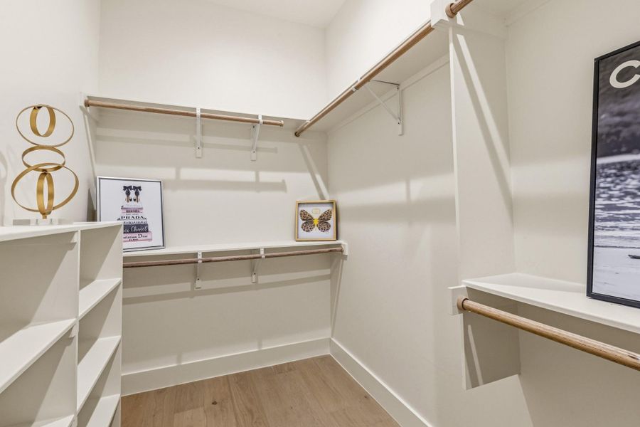 Walk-in closet featuring light wood-finish flooring, white walls, and built-in shelving units