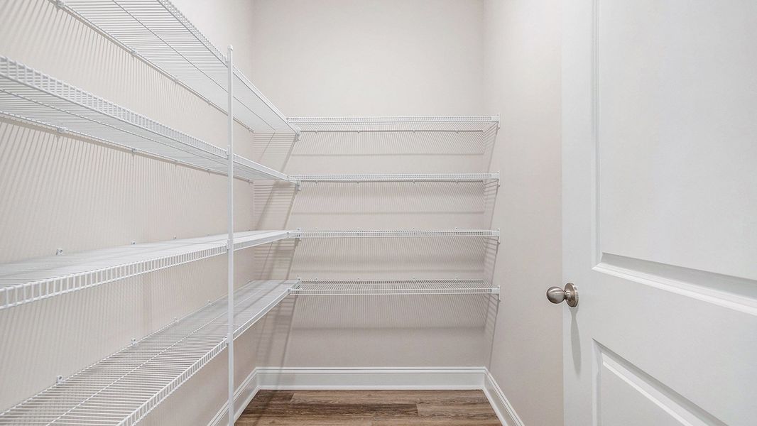 Spacious, unfurnished interior of a new home in Auberon Woods, Conway (Image 22).