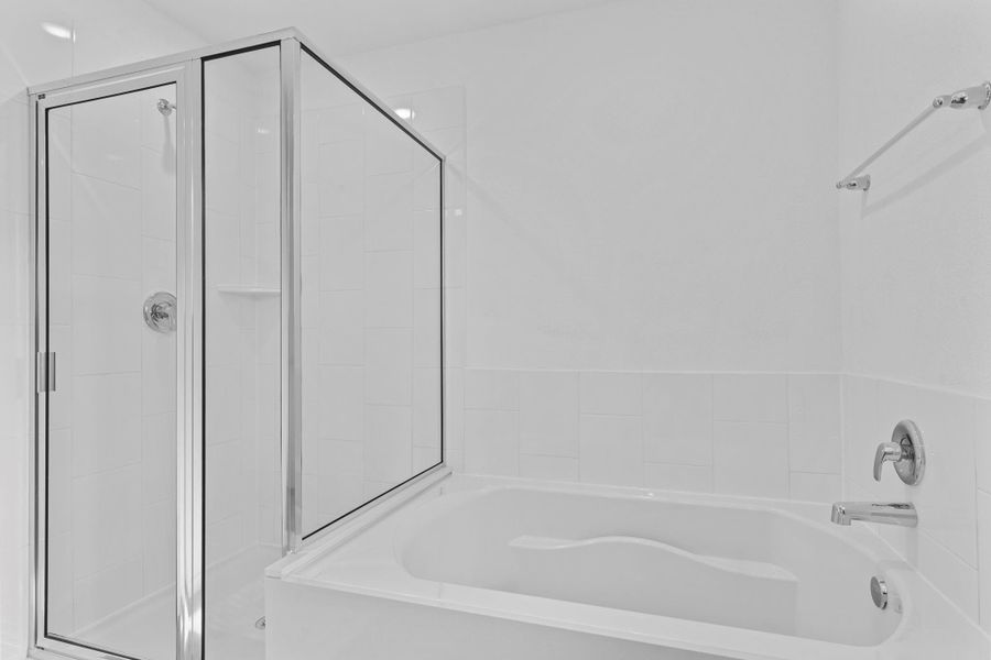 representative photo