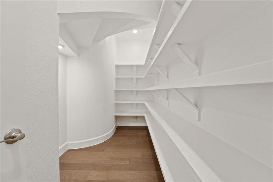 Walk in closet with light wood-style floors