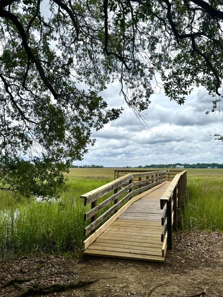 Natural landscape and outdoor views near in Charleston (Image 36). Natural landscape and outdoor views near in Charleston (Image 36).