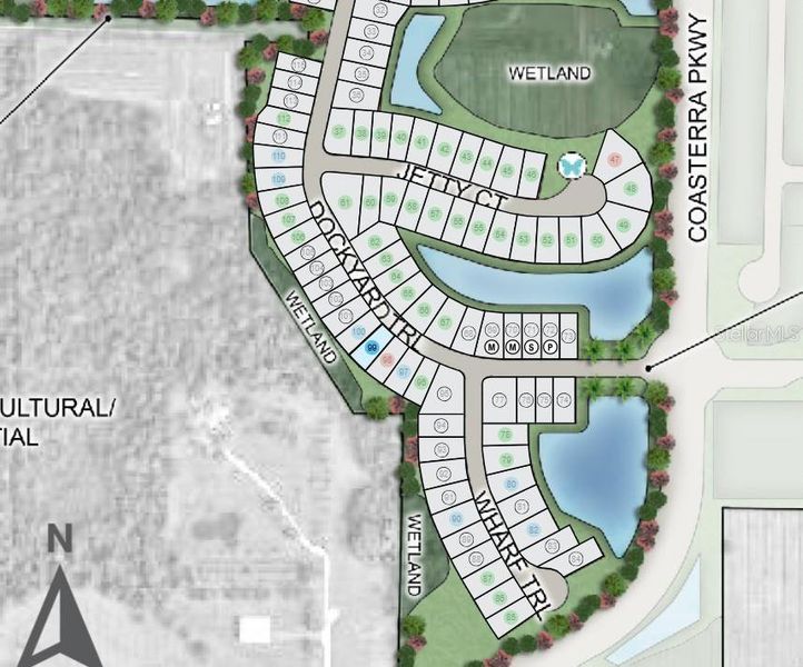 Image 14 of a home in Palms at Coasterra.