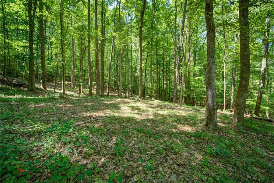 Natural landscape and outdoor views near in Alpharetta (Image 12). Natural landscape and outdoor views near in Alpharetta (Image 12).