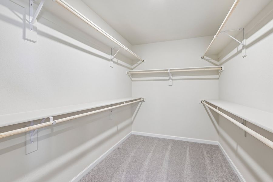 Spacious, unfurnished interior of a new home in Cherry Meadows, Brighton (Image 13).