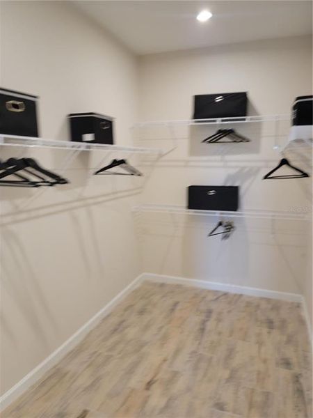 Image 49 of a home in Brightmore at Wellen Park.