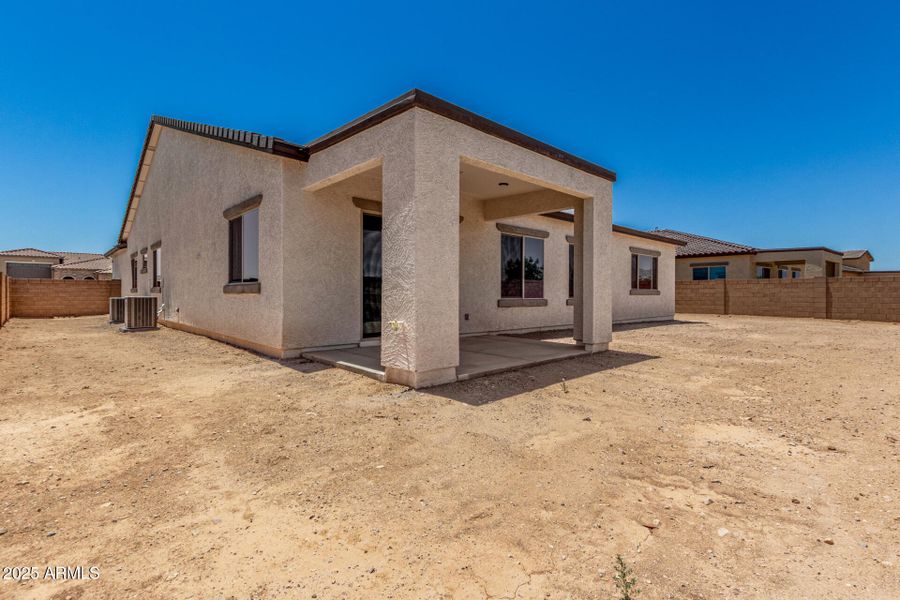 38 - Royal Palm 38 - Royal Palm