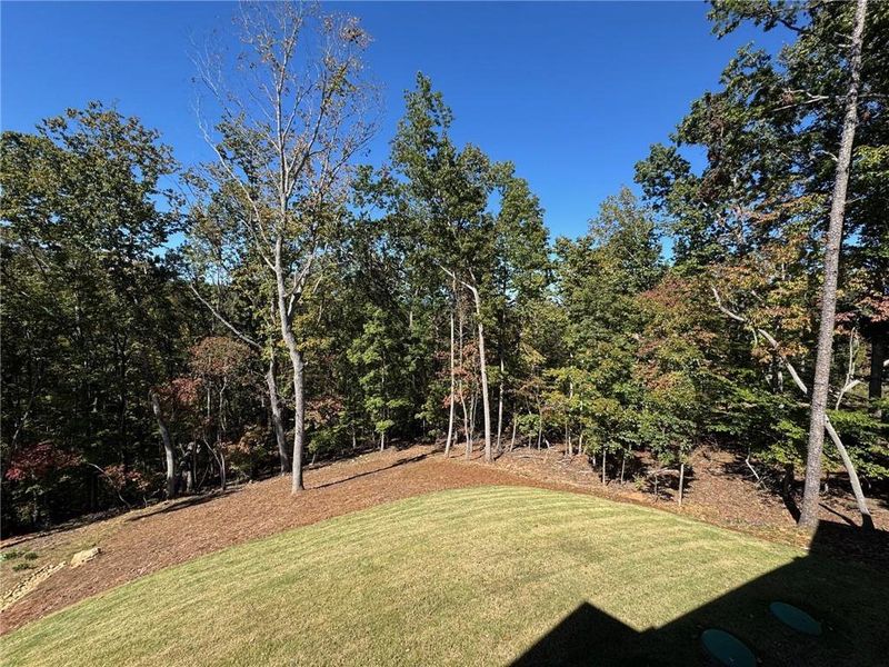 Natural landscape and outdoor views near  in Dawsonville (Image 32).