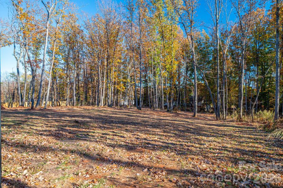 Natural landscape and outdoor views near  in Lincolnton (Image 39).