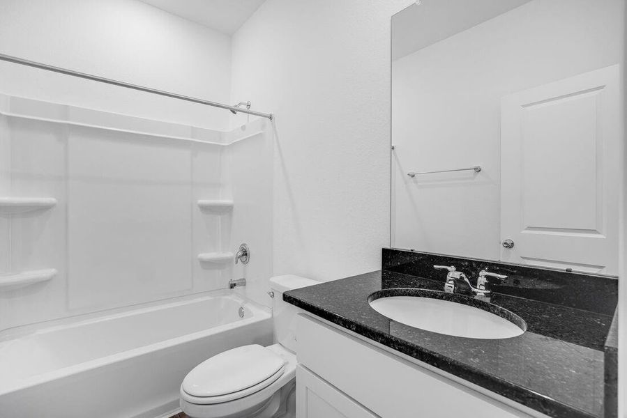 26814 Celestial Cypress ~ Ready Now