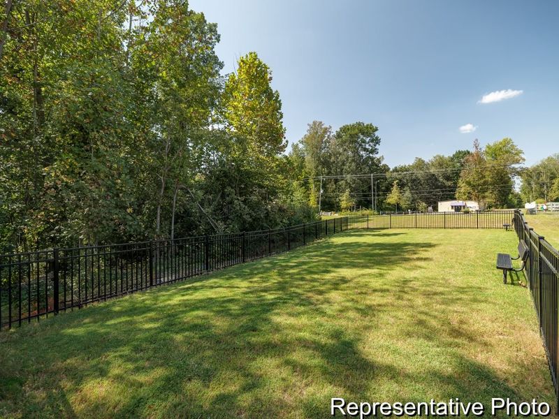 Natural landscape and outdoor views near Village at Reedy Creek Townhomes in Charlotte (Image 27).